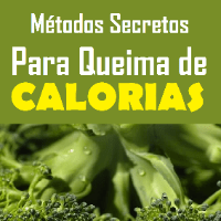 Imagem do produto Métodos Secretos para Queima de Caloria/ Queimando Calorias em 24h