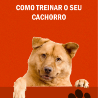 Imagem do produto como treinar o seu cachorro