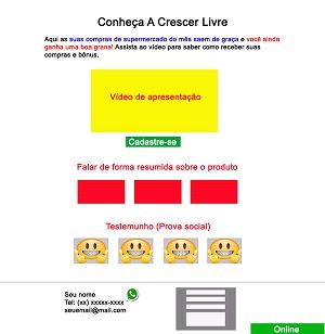 Imagem do curso Página de captura e vendas