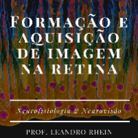 Imagem do produto Formação e Aquisição ee Imagem na Retina: O Papel do Cérebro na Percepção Visual
