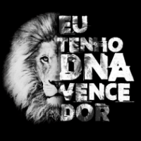 Imagem do produto Comunidade Dna Vencedor - Grupo matriz