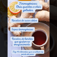 Imagem do curso Receitas Termogênicas