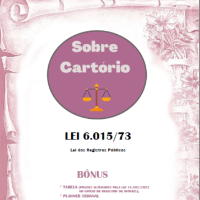 Imagem do curso E-BOOK LEI 6.015/73 - LEI DOS REGISTROS PÚBLICOS