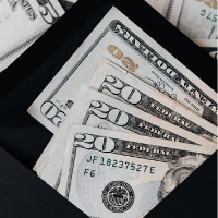 Imagem do curso Como ganhar dinheiro na Internet para iniciantes 1.0