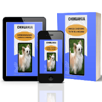 Imagem do produto CHIHUAHUA - CONHEÇA E SAIBA COMO TRATAR SEU AMIGUINHO