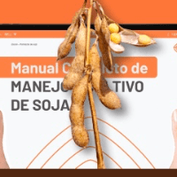 Imagem do curso Guia Completo para Manejo e Melhoria da Produtividade na Soja 2025