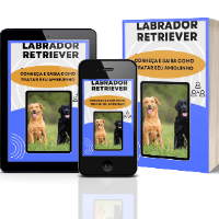Imagem do produto LABRADOR RETRIEVER - CONHEÇA E SAIBA COMO TRATAR SEU AMIGUINHO