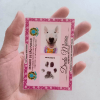 Imagem do produto Curso de Design - Rg Animal Personalizado