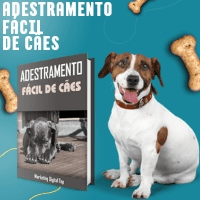 Imagem do curso Adestramento de cães