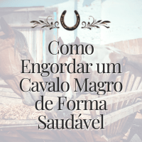 Imagem do produto Como Engordar Um Cavalo Magro De Forma Saudável: Guia Prático para Transformar Seu Cavalo em 4 Semanas (Extras)