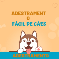Imagem do curso Adestramento fácil de cães