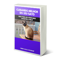 Imagem do curso Cuidando Melhor do Seu Gato