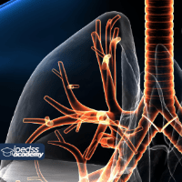 Imagem do curso Certificação de Competência e Habilidade em Medicina Respiratória - 360 horas  [Formação continuada Liberada pelo MEC]