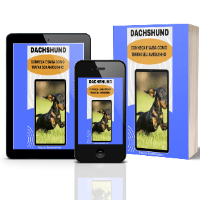 Imagem do produto DACHSHUND - CONHEÇA E SAIBA COMO TRATAR SEU AMIGUINHO