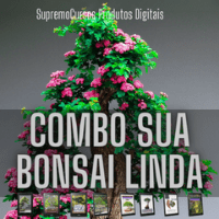 Imagem do produto Combo Sua Bonsai Linda