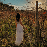 Imagem do curso Caminho do Vinho