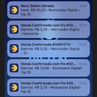 Imagem do produto Faça seu melhor resultado 24h
