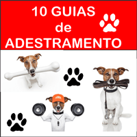 Imagem do produto Adestramento de Cachorro - Adestrando seu Cão e Cães