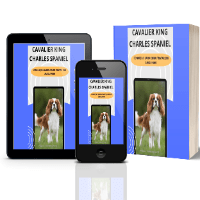 Imagem do produto CAVALIER KING CHARLES SPANIEL - CONHEÇA E SAIBA COMO TRATAR SEU AMIGUINHO