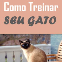 Imagem do produto Como treinar seu gato