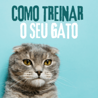 Imagem do produto COMO TREINAR O SEU GATO