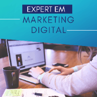 Imagem do curso PROFISSIONAL DO MARKETING DIGITAL