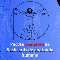 Imagem do produto Pacote Completo de Flashcards de Anatomia - Parte Teórica