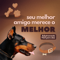 Imagem do curso Adestramento fácil para cães