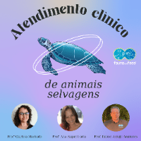 Imagem do curso Curso - Fundamentos do atendimento de animais silvestres e exótico