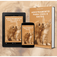 Imagem do curso Adestramento para Cães e Gatos