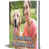 Imagem do curso 5 formas simples para Adestrar seu cão ?????
