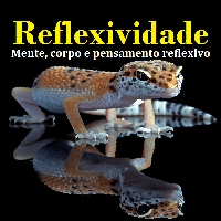 Imagem do produto Reflexividade - O Guia Essencial