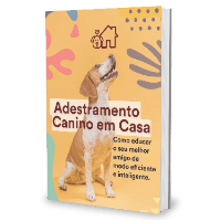 Imagem do curso Adestramento Canino em Casa