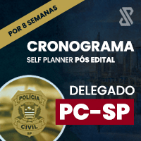 Imagem do produto CRONOGRAMA SELF PLANNER (PÓS EDITAL) - DELEGADO PCSP
