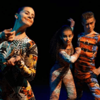 Imagem do produto Curso Intensivo Visão Raio X- O Corpo Fala