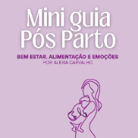 Imagem do produto Mini Guia Pós Parto
