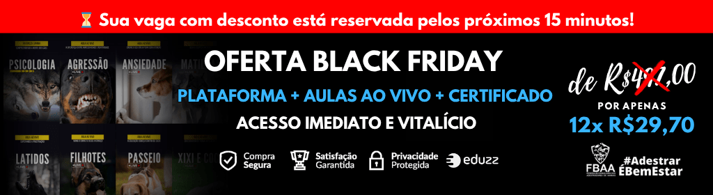 Banner superior do produto. Segue a descrição do conteúdo: O que você vai encontrar dentro do Método Cão Companheiro:

- Acesso vitalício ao treinamento completo e atualizado em videoaulas no estilo Netflix, gravado na nossa escola presencial com alunos reais e cães de todos os portes — você acompanha o passo a passo da teoria à prática de forma clara e aplicável no dia a dia.

- Cronograma prático em PDF para seguir cada fase do adestramento com segurança, mesmo que você nunca tenha treinado um cão antes. É só seguir o plano e aplicar!

- Aulas temáticas completas, abordando os principais problemas de comportamento: xixi e cocô fora do lugar, agressividade, reatividade, puxões no passeio, ansiedade por separação, latidos excessivos, manejo de filhotes e muito mais.

- Conteúdo exclusivo com médicos veterinários especialistas, trazendo orientações valiosas sobre alimentação, vacinação, vermifugação, cuidados preventivos e tudo o que você precisa saber para garantir saúde e bem-estar ao seu cão.

- Entrevistas com profissionais renomados — biólogos, sociólogos, policiais e outros especialistas — que compartilham conhecimentos sobre comportamento canino e o papel do cão na sociedade.

- Masterclasses com grandes adestradores do Brasil, oferecendo visões complementares, técnicas avançadas e muita inspiração para evoluir ainda mais com o seu cão.

- BÔNUS ESPECIAL: Aulas ao vivo em grupo com o adestrador Nicolás Duarte, para tirar dúvidas, revisar conteúdos e acompanhar a evolução da turma em tempo real.

- Certificado reconhecido pela Federação Brasileira dos Adestradores de Animais