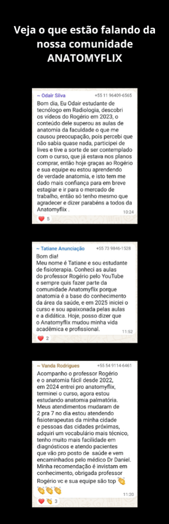Banner lateral do produto. Segue a descrição do conteúdo: ANATOMIA FÁCIL VITALÍCIO:

Dominar a anatomia é o caminho para você transformar sua carreira, conquistar respeito dos seus pacientes e liderar com confiança no mercado da saúde.

O que vem no COMBO BLACK FRIDAY Anatomia Fácil?

ORDEM DOS CURSOS:

ANATOMYFLIX
ANATOMIA PALPATÓRIA
ANATOMIA FÁCIL LITE
E-BOOKS E SIMULADO ANATOMIA FÁCIL LITE
APARELHO LOCOMOTOR COMPLETO
MUSCLEFLIX
NEUROFLIX
ALMANAQUE ANATÔMICO COMBO 1
ALMANAQUE ANATÔMICO COMBO 2
E-BOOK DAS ORIGENS E INSERÇÕES

Esses produtos juntos oferecem tudo o que você precisa para dominar a anatomia e ser um destaque na sua área!