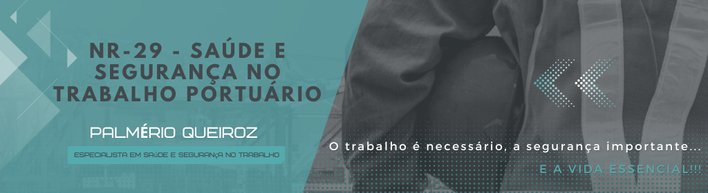 Banner superior do produto. Segue a descrição do conteúdo: Esta Norma Regulamentadora (NR 29) tem por objetivo estabelecer as medidas de prevenção em Segurança e Saúde no Trabalho Portuário e as diretrizes para a implementação do gerenciamento dos riscos ocupacionais nos portos públicos e privados. É de aplicação obrigatória em todos os portos (e área retroportuária) onde houver movimentação de mercadorias e ou pessoas. No livro o autor, que é Auditor-Fiscal do Trabalho, comenta toda a NR, item por item. Também a NR é explicada através de perguntas e respostas. O material conta com um resumo esquematizado onde são informados todos os Relatórios obrigatórios e procedimentos necessários na operação portuária.